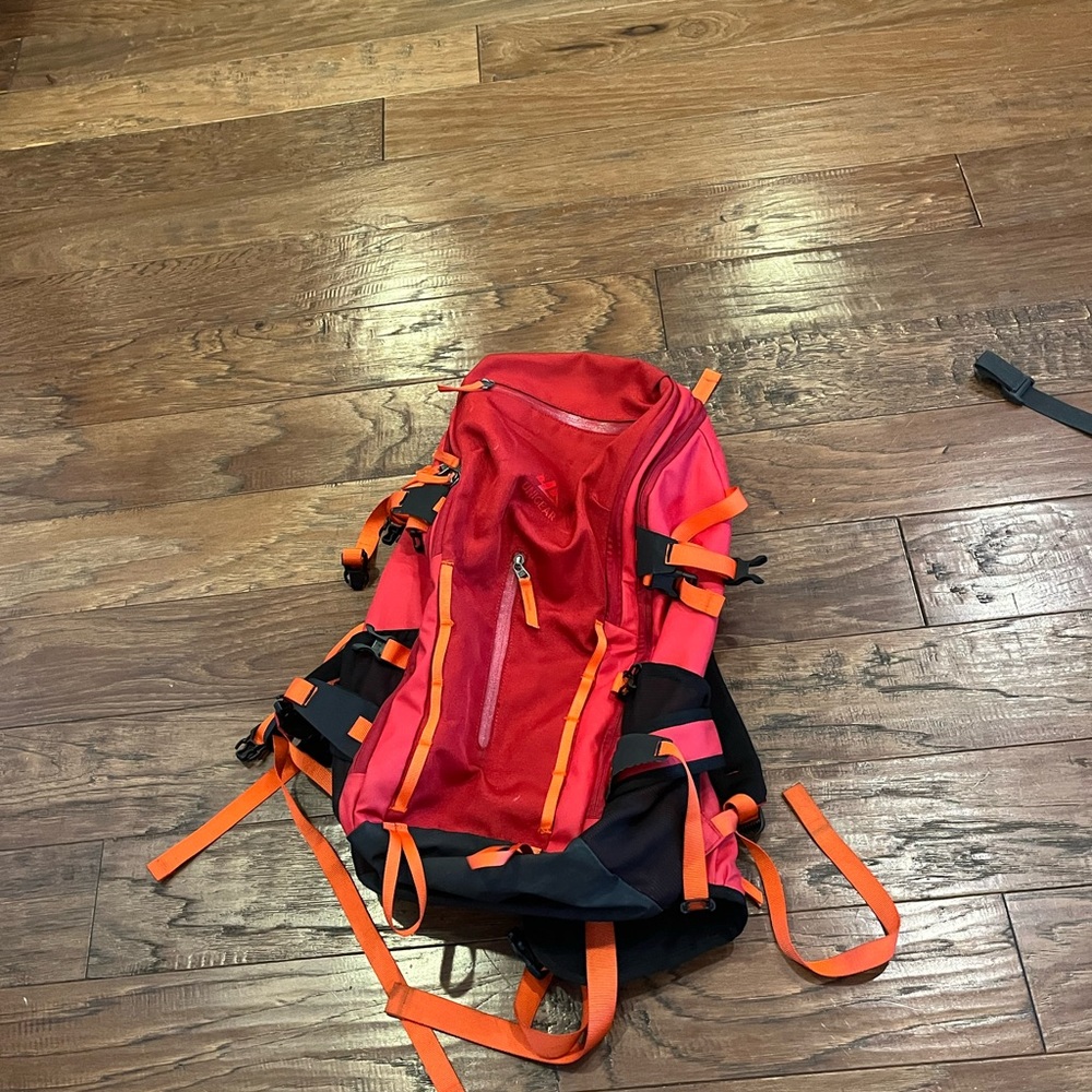 Ski Backpack - image 1